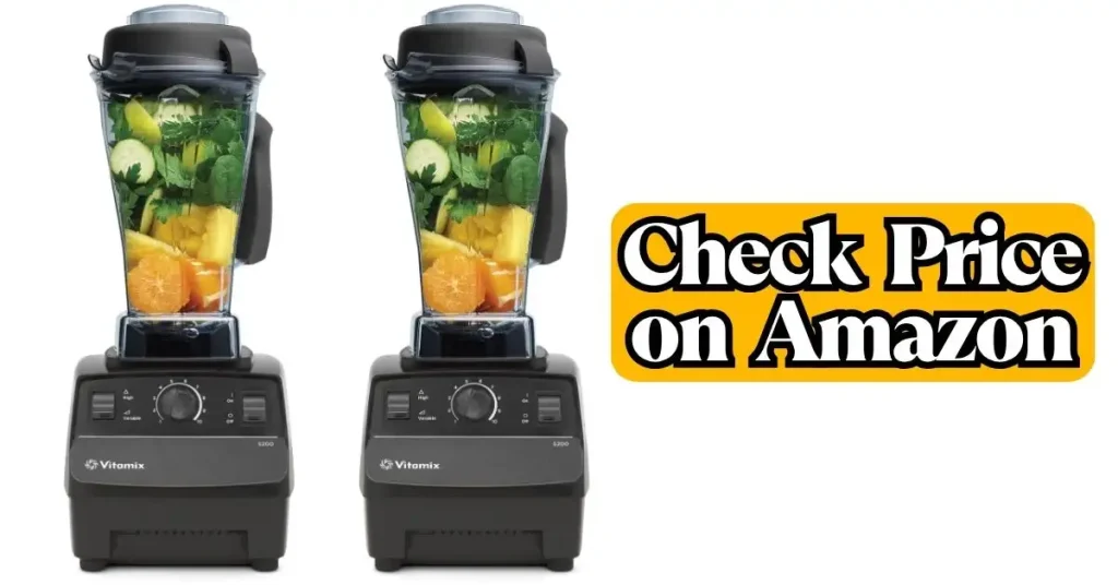 Vitamix 5300 Vs 5200