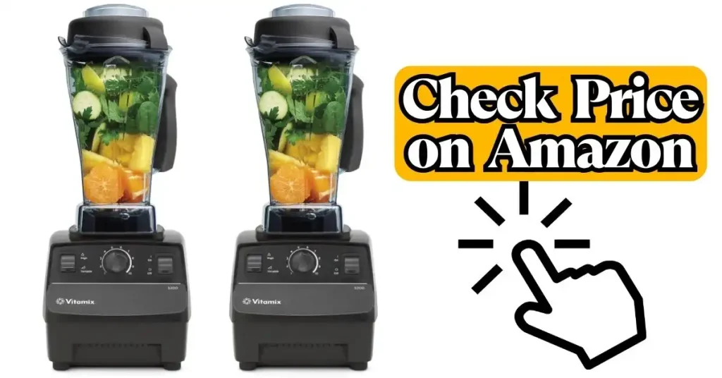 Vitamix 5200 vs E310