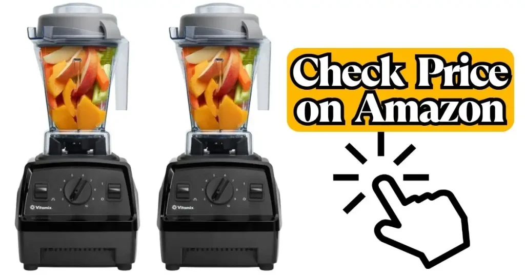 Vitamix 5200 vs E310