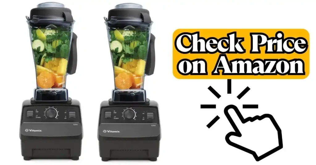 Vitamix E310 vs 5200