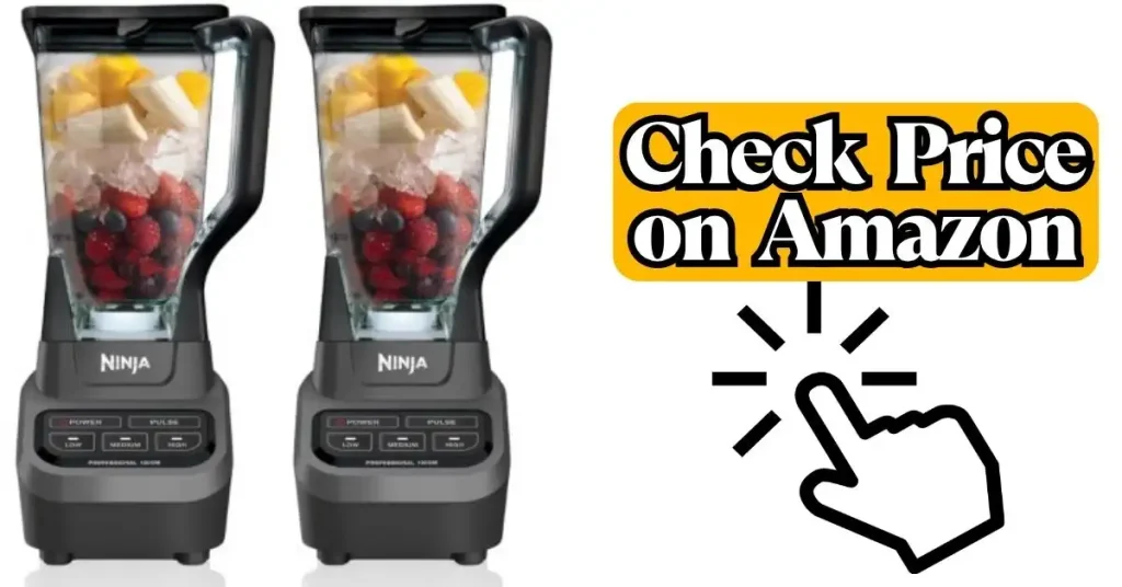 Ninja BL610 Review