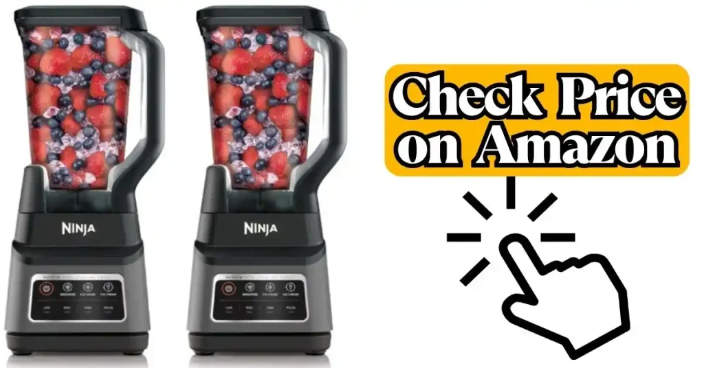 Ninja BN701 Review