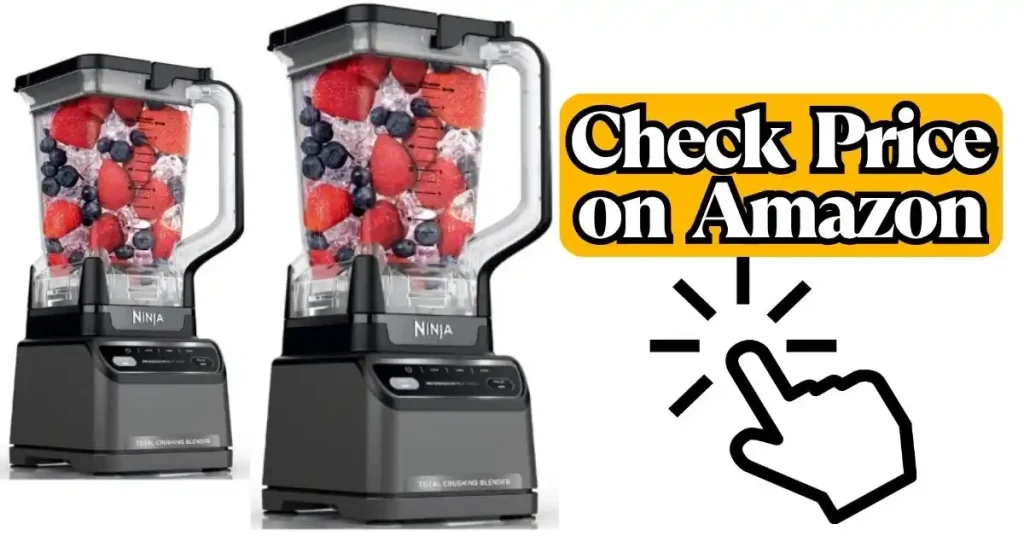 Ninja BR201AMZ Review
