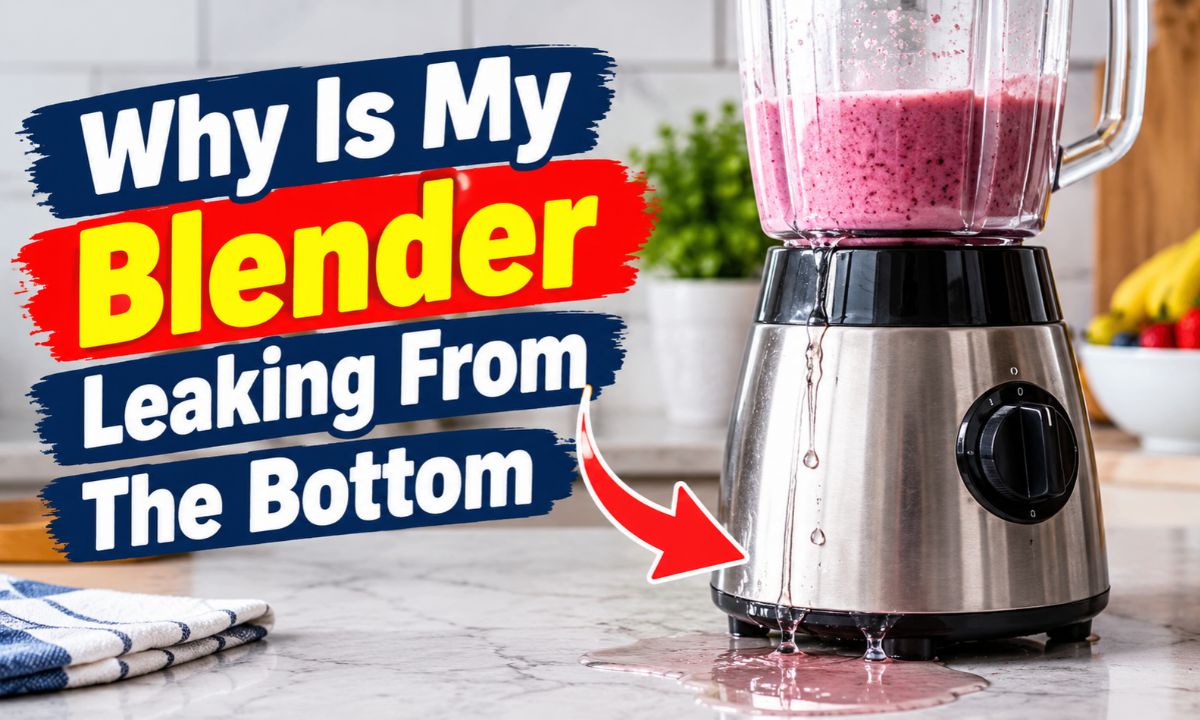 Why Is My Blender Leaking From The Bottom